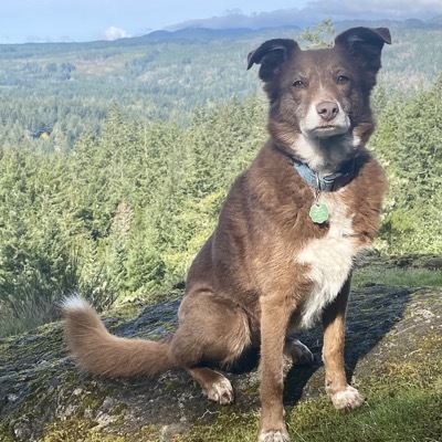 avatar for tobiaspatton@cosocial.ca