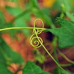 avatar for gclef@social.vivaldi.net