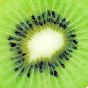 avatar for Columbia@literatur.social