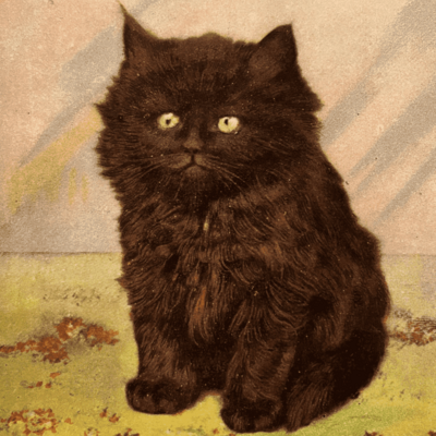 avatar for CatsOfYore@varmint.town