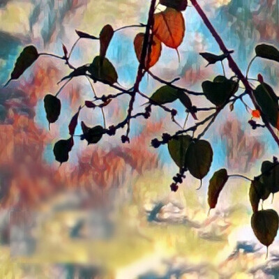 avatar for tikkhapanna@mastodon.online