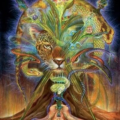 avatar for eliasulrich@hachyderm.io