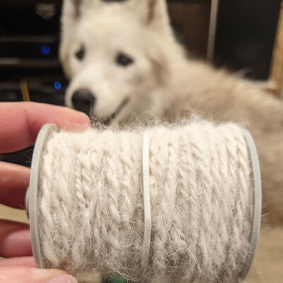 avatar for Paws2Spindle@sunny.garden
