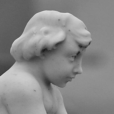 avatar for darlings@mstdn.plus