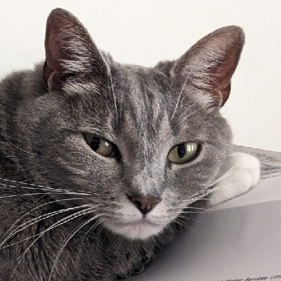 avatar for Bern@aus.social