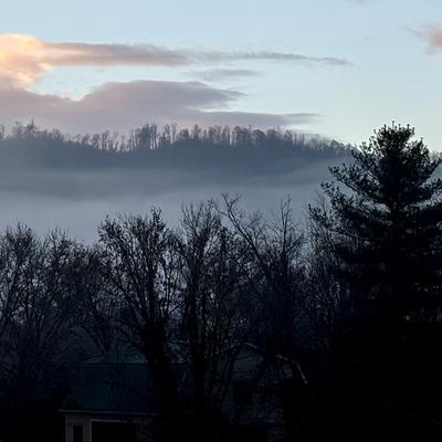 avatar for dusk@todon.eu