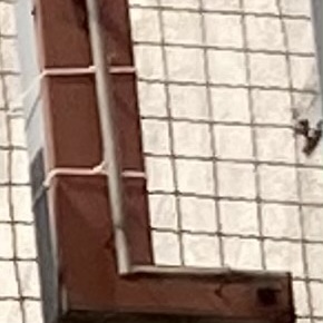 avatar for leuchtreklame@social.cologne