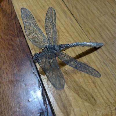 avatar for chertridge@beige.party