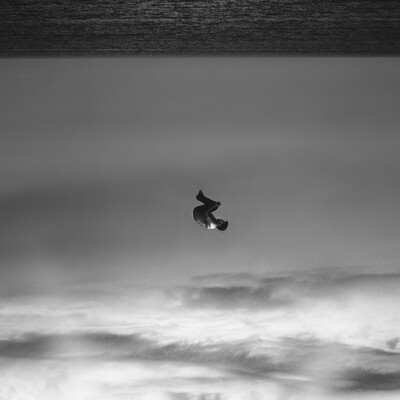 avatar for susurros@kolektiva.social