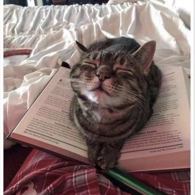 avatar for readit@mastodon.social