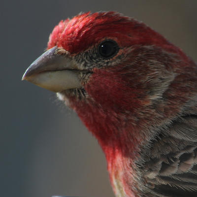 avatar for killick@dmv.community