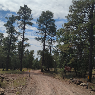 avatar for noordinaryspider@az.social