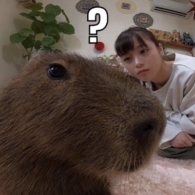 avatar for edendestroyer@solarpunk.moe