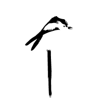 avatar for Picturavis@pixelfed.de