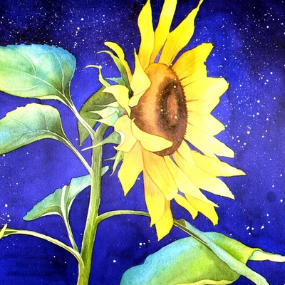 avatar for JaneTomlinson@mastodonapp.uk