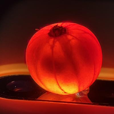 avatar for Thomaskirchner7@rollenspiel.social