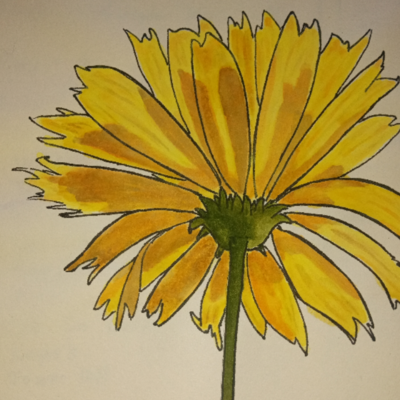 avatar for I_am_a_plant@mastodon.art