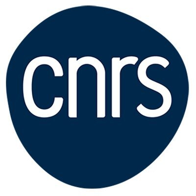 avatar for cnrs@social.numerique.gouv.fr
