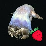 avatar for Dubikan@tooot.im