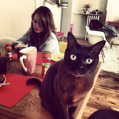 avatar for mathildesaliou@piaille.fr