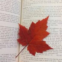 avatar for bencardoen@pixelfed.de