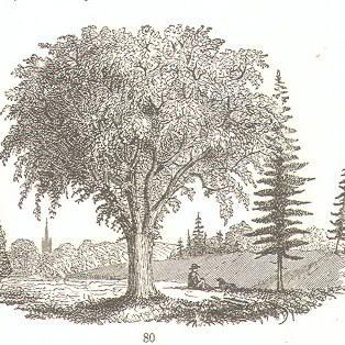 avatar for NODE801@sciences.social