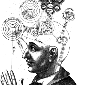 avatar for selfawarepatterns.com@selfawarepatterns.com