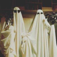 avatar for NotAHopeInHades@pixelfed.social