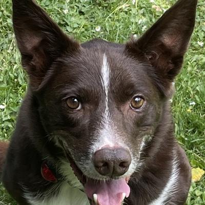 avatar for edsullivan@sfba.social