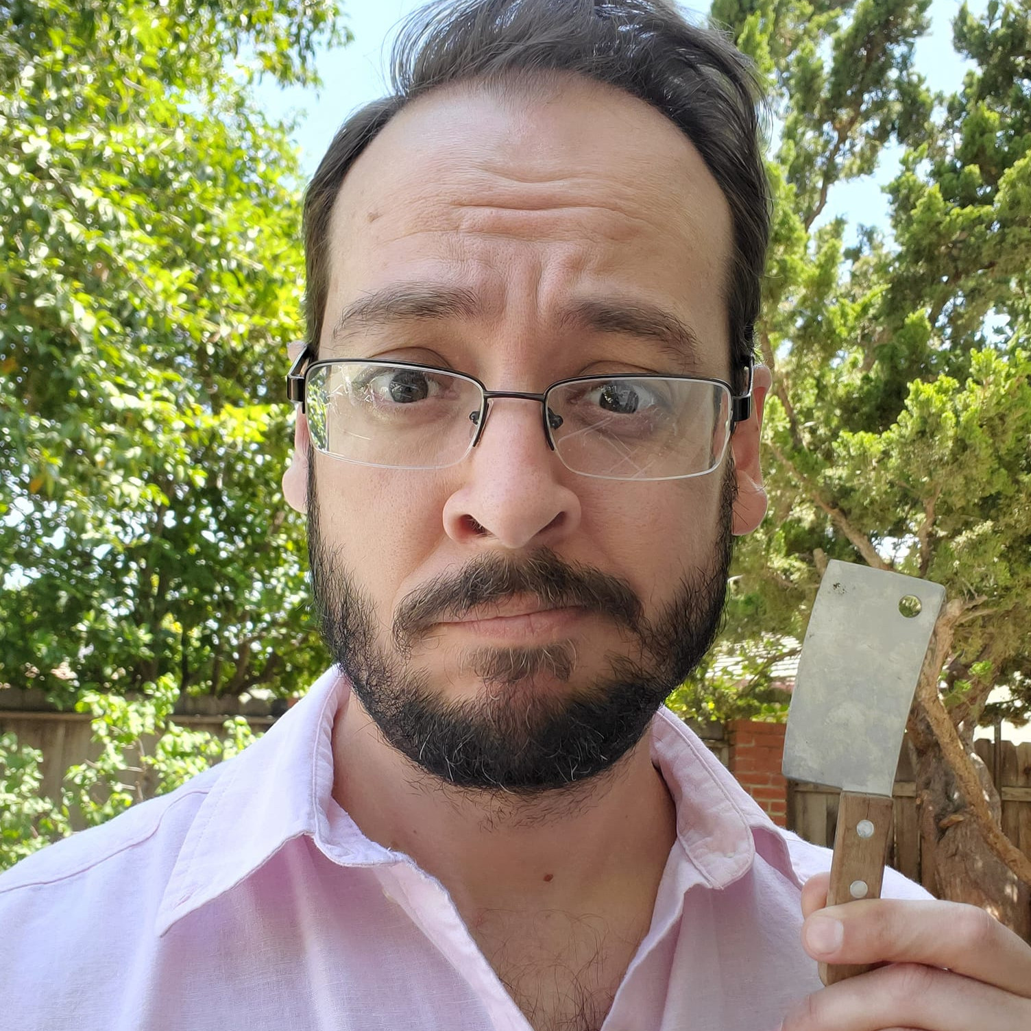 avatar for thatwriterguy.com@bsky.brid.gy