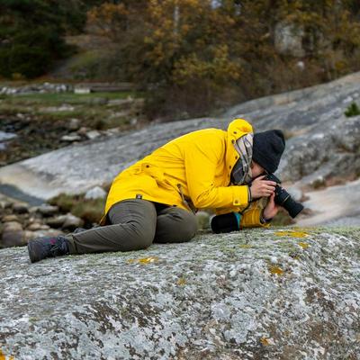 avatar for mossesandbees@scicomm.xyz