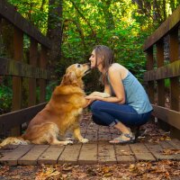 avatar for anneliejoy@pixelfed.social