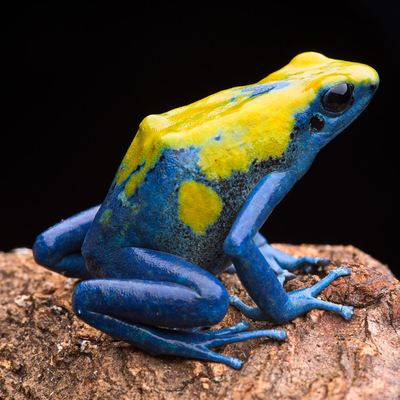 avatar for b_age@troet.cafe