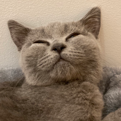 avatar for Illdisposed@mastodon.social