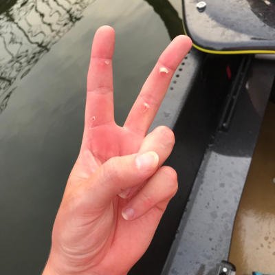 avatar for venite@mastodon.nl