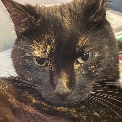 avatar for photovince@mastodon.social