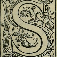 avatar for sarae@ecoevo.social