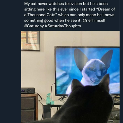 avatar for ghostrunner@hachyderm.io