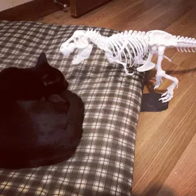 avatar for jerzone@techhub.social