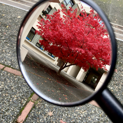 avatar for Dero_10@thecanadian.social