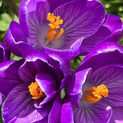 avatar for boxofrain@mastodon.social