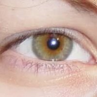 avatar for meoralis@pixelfed.social