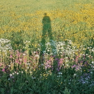 avatar for magcbertrand@social.sciences.re