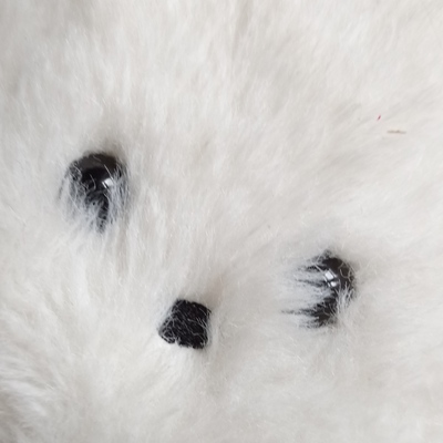 avatar for pialfa801@mastodon.gal