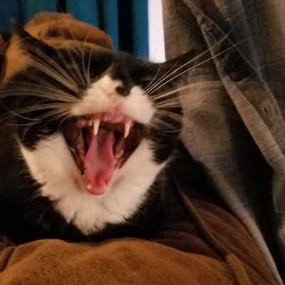 avatar for christymarx@beige.party