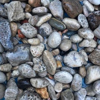 avatar for gopal@mamot.fr