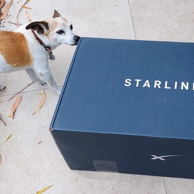 avatar for Coolmccool@mastodon.au