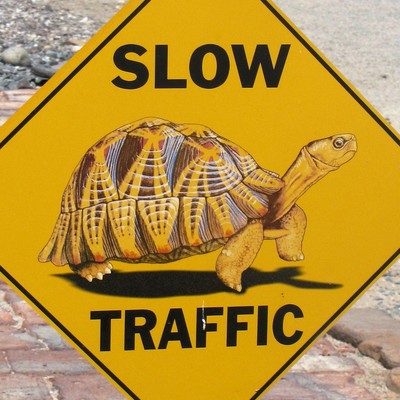 avatar for slowenough@mastodon.social