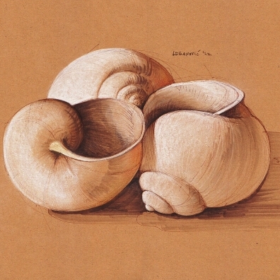 avatar for playinprogress@mastodon.art