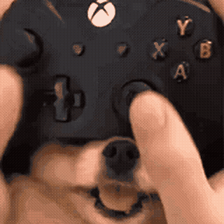 avatar for resplendent606@climatejustice.social